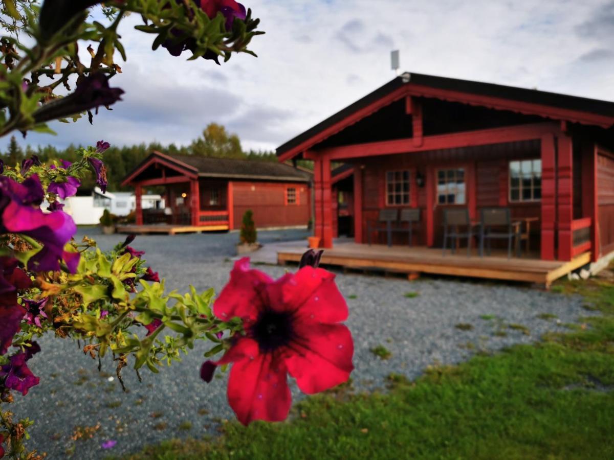 First Camp Bo - Telemark