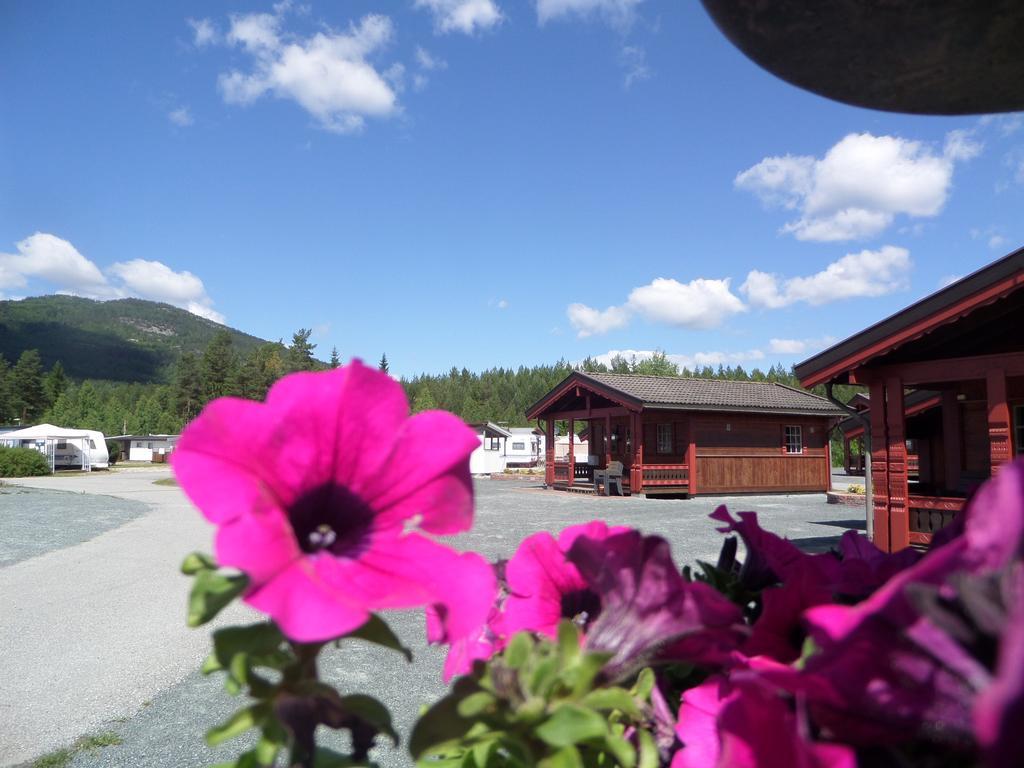 First Camp Bo - Telemark Campsite